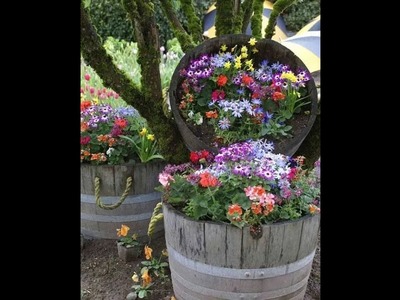 25  DIY ideas to reuse old wine barrels in garden decoration????????????. Green garden plants