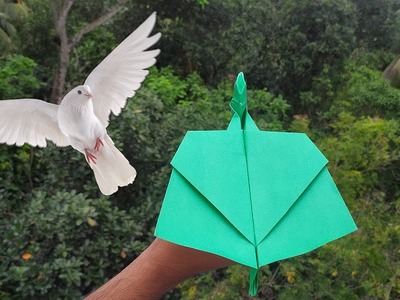 Flying Paper Bird Plane | Origami Bird Paper Plane | Flying Comparison and Making Tutorial