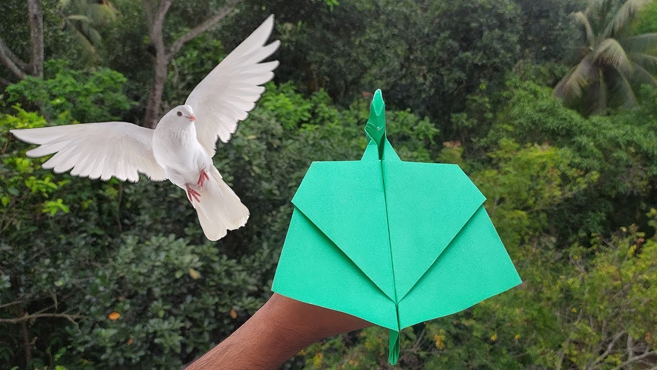 Flying Paper Bird Plane | Origami Bird Paper Plane | Flying Comparison and Making Tutorial