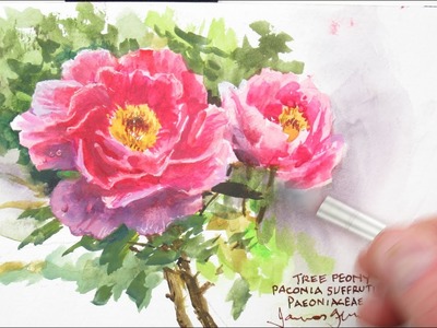 Painting Peonies with Watercolor at NYBG