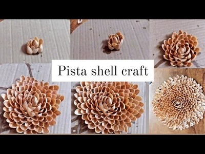 DIY pista shell craft | Home decor | Handcrafted | @dr artist