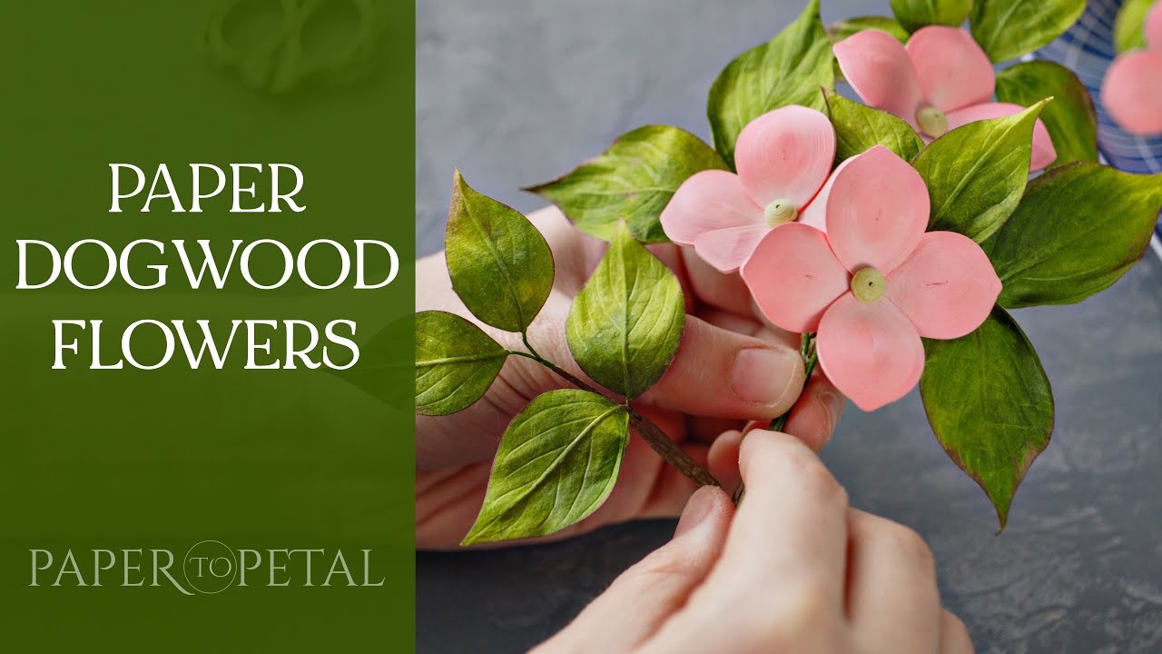 Making Paper Dogwood Flowers - 3D Paper Art - Relaxing Art