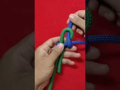 How to Tie Knot DIY at Home, Rope Trick You Should Know Tutorial #Shorts EP971