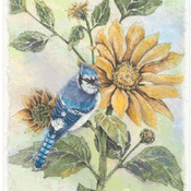 Sunflower Blue Jay Cross Stitch Pattern***L@@K***Buyers Can Download Your Pattern As Soon As They Complete The Purchase