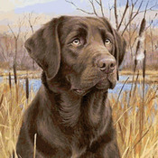 ChocoLate Lab Cross Stitch Pattern***L@@K***Buyers Can Download Your Pattern As Soon As They Complete The Purchase