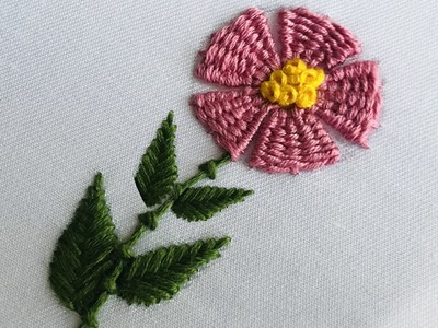 Hand Embroidery: Embroidery For All Over - Needle Weave Embroidery - Embroidery For Beginners