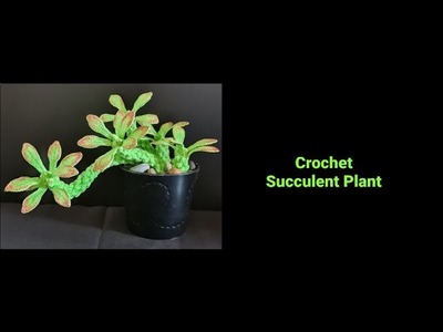 How to crochet Succulent Plant