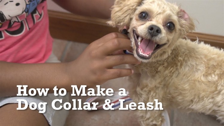 How to Make a Dog Collar & Leash