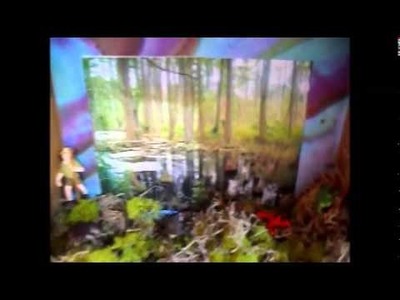 Creating a Swamp Habitat (Kids Project)