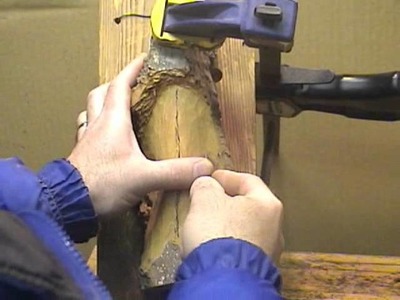 How To Carve a Wood Spirit in Cottonwood Bark  2