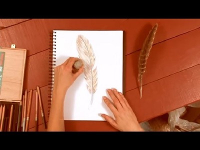 How to Draw Feathers With a Colored Pencil : How to Draw with Colored Pencils