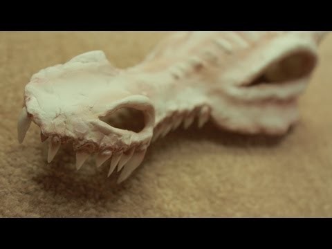 Tutorial Props: Dragon Skull