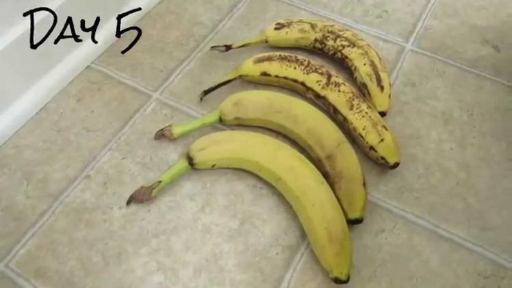 How I Keep Bananas Fresh Longer