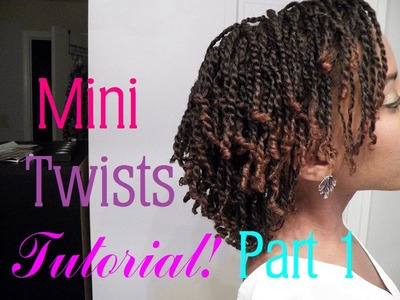 How to Do Mini Twists on Short.Medium Length Natural Hair Part 1
