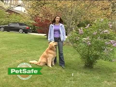PetSafe® Training Your Dog: PetSafe Containment System - www.petsafe.net