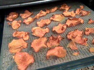Excalibur Dehydrator- How to Make Raw Sweet Potato Chips