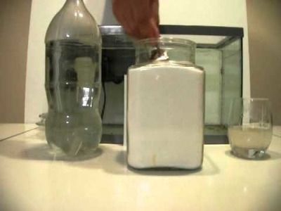HOW TO DIY CO2 For Planted Aquariums