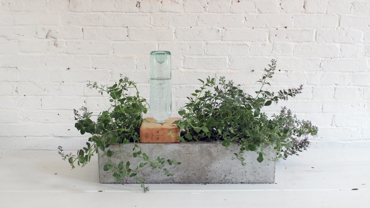 How to make a concrete planter that waters itself