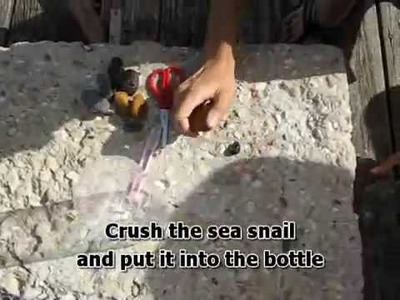 How to Make a Fish Trap in 30 Seconds