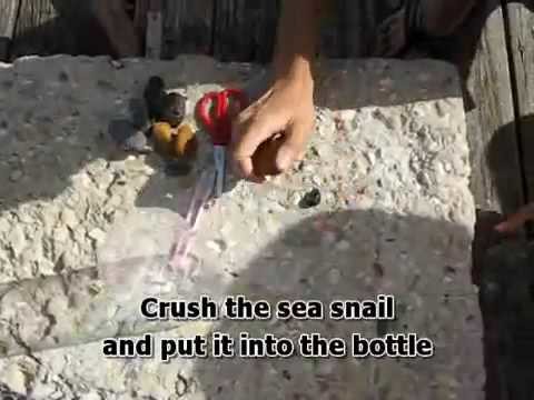 How to Make a Fish Trap in 30 Seconds