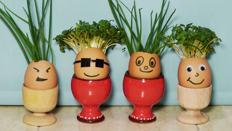 How to Make Eggshell Planters