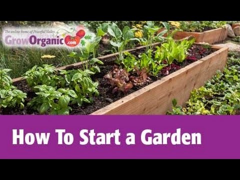 How to Start a Garden