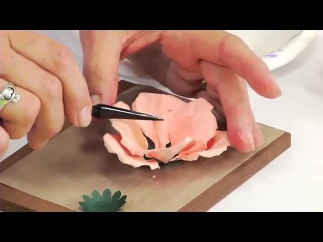How to Use Sizzix Thinlits Rose Flower Die 658411