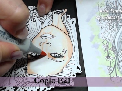 Creating a Colour Map for Complex Copic Coloured Images