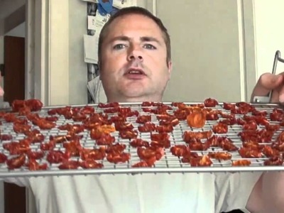 How to dry tomatoes