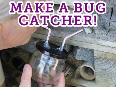 How to make a bug catcher -- Eden Project