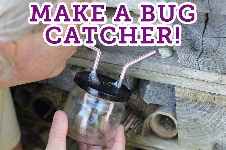 How to make a bug catcher -- Eden Project