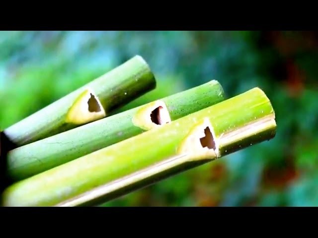How to make a Flute or Swanee Slide Whistle out of Bamboo - Sensory Learning 4 Life