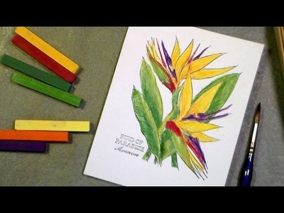 Stamping: coloring a bird of paradise with chalk and water