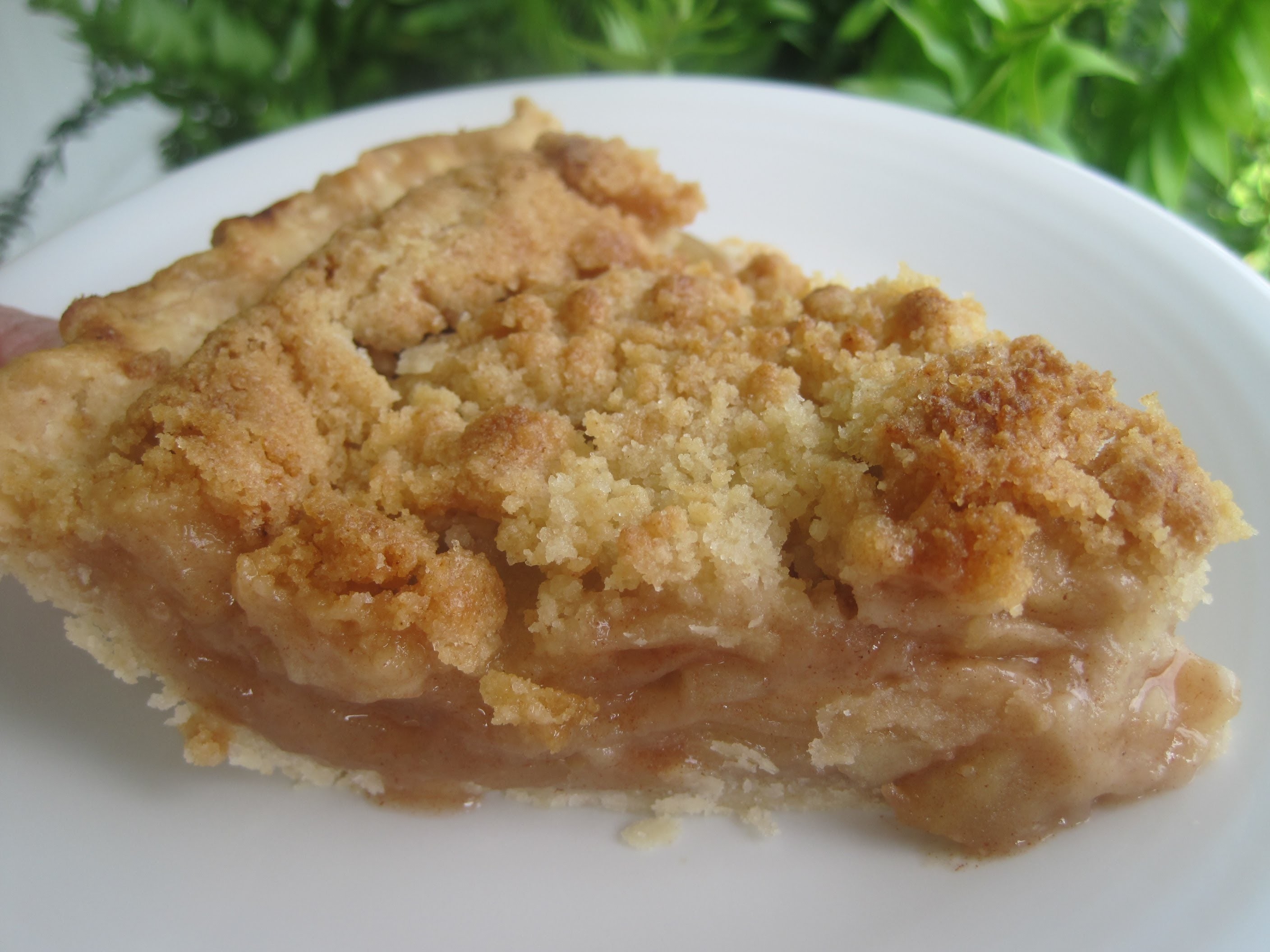 dutch-apple-pie-how-to-make-dutch-apple-pie-recipe