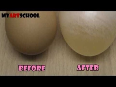 How To Make A Naked and Bouncy Egg