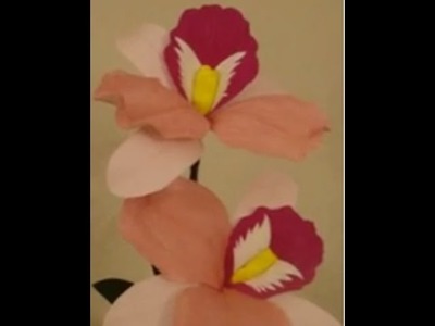 Paper Flower - Cattleya. orchid