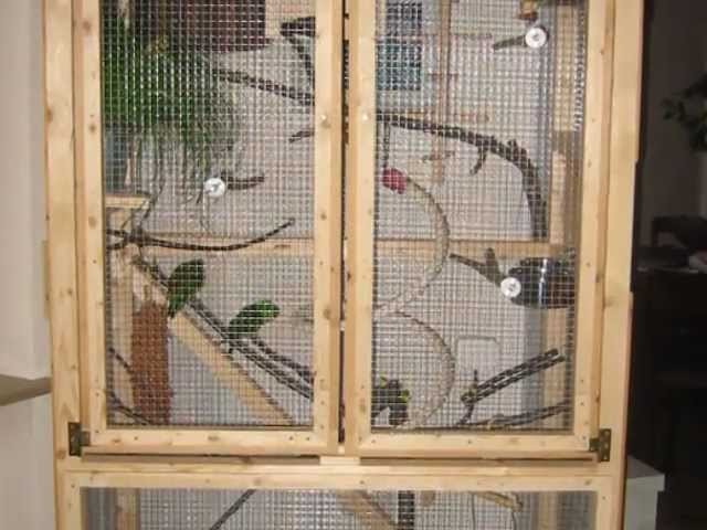 How to build a comfortable inside aviary for small parrots