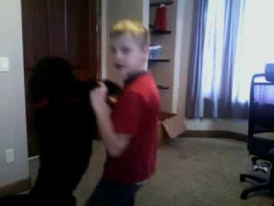 How to teach your dog to dance