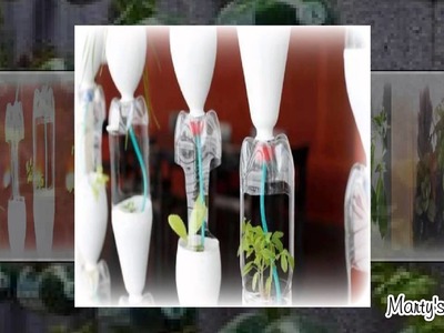10 Best Bottle Gardening Ideas