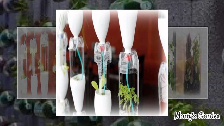 10 Best Bottle Gardening Ideas