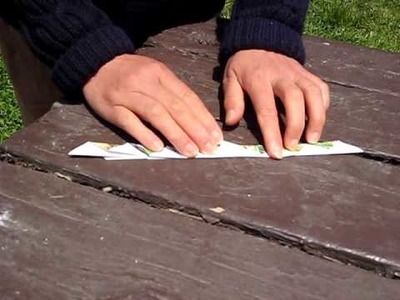 How To Fold a Paper Leaf
