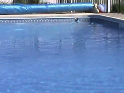 How to make your pool water clear
