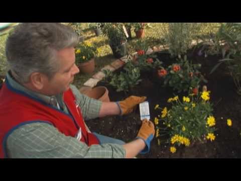 How to Install a Waterwise Landscape and Drip Irrigation System