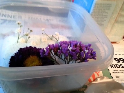 My tutorial on putting fresh flowers in Silica Gel