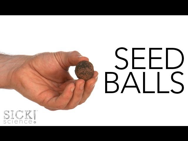 Seed Balls - Sick Science! #147