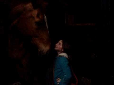 4'6 girl putting on a 16.3 tall horse's blanket!