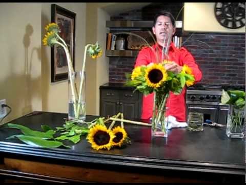 FRESH TEN FILMS: Arranging Sunflowers - Cactus Flower in Scottsdale, AZ
