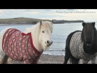 How do you get a pony into a sweater?
