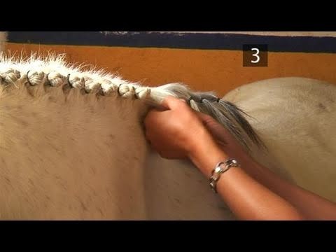 How To Braid A Horse's Mane