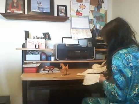 How to make a breyer horse blanket part 1.